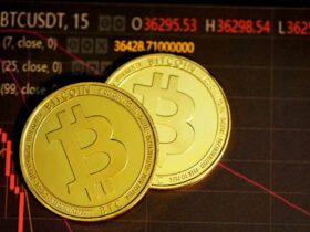 Bitcoin dispara, volta a US$ 86 mil e renova máxima de oito meses