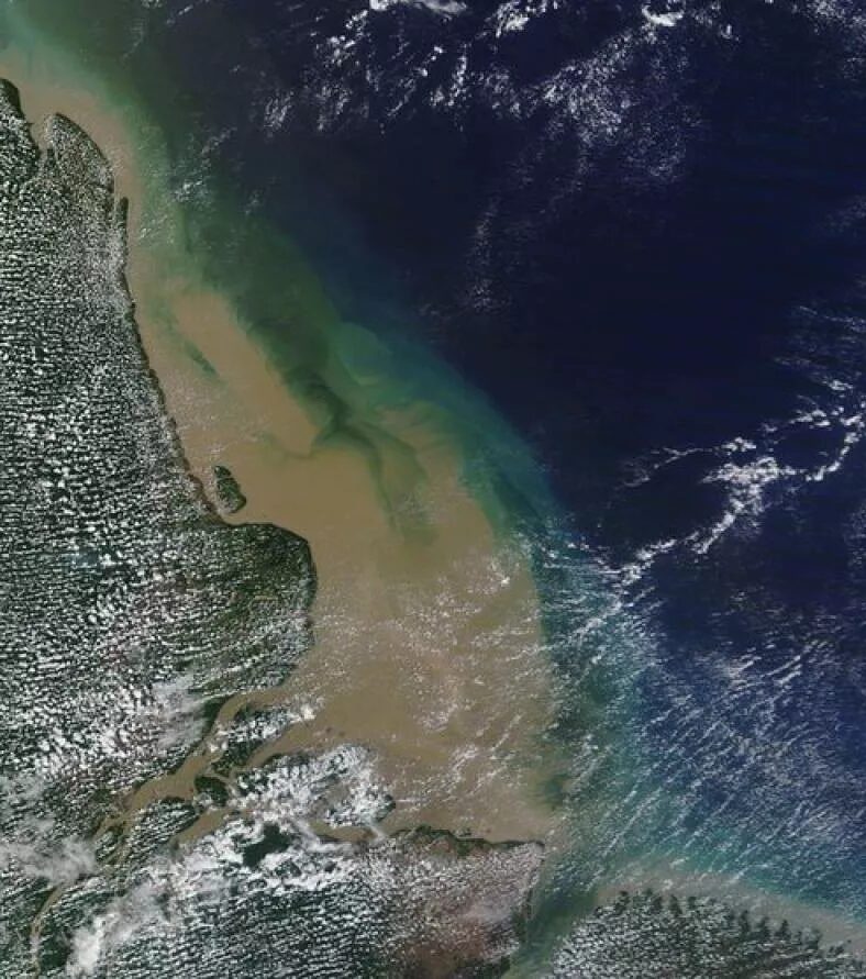 Chevron aposta em novos dados sísmicos para avaliar blocos na Foz do Amazonas