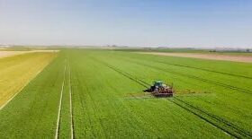 Como a Reforma Tributária no agronegócio impacta o campo