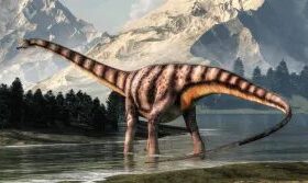 Fóssil descoberto na Espanha sugere migração de dinossauro que vivia nos EUA