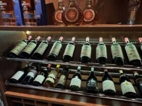 VAMOS DE VINHO