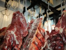 Carne brasileira passa a pagar tarifa de 67% para entrar na China