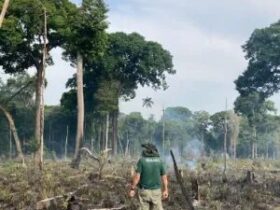 Dívida ecológica aumenta pressão sobre logística do agro