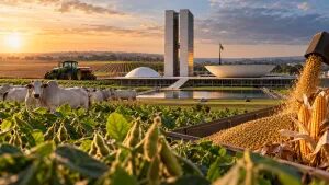 Frente Parlamentar do Agro tem 200 eleitos e reeleitos no Congresso