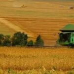 Imea mantém projeção para safra de soja em Mato Grosso