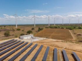 Transição climática: a velocidade como vantagem competitiva
