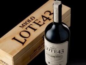 VAMOS DE VINHO