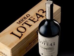 VAMOS DE VINHO