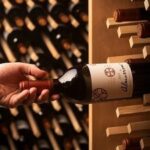 VAMOS DE VINHO