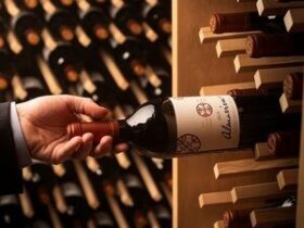 VAMOS DE VINHO