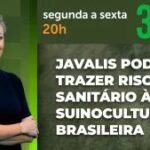 A Força do Agro #825: assista ao programa de 14/9/2026