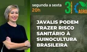 A Força do Agro #825: assista ao programa de 14/9/2026