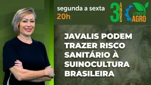 A Força do Agro #825: assista ao programa de 14/9/2026