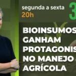 A Força do Agro #826: assista ao programa de 15/9/2026