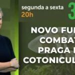 A Força do Agro #828: assista ao programa de 17/9/2026