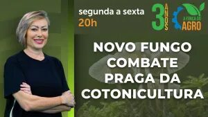 A Força do Agro #828: assista ao programa de 17/9/2026