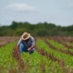 Bancada agro cobra mudanças na renegociação de dívidas rurais