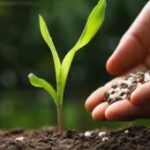 Bioinsumos ganham protagonismo no manejo agrícola