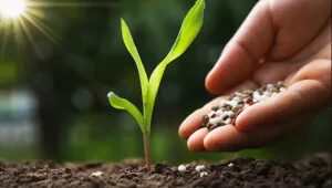 Bioinsumos ganham protagonismo no manejo agrícola