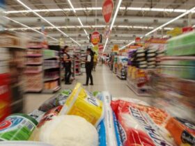 Bolsa Família é reajustado em 15%; medida vale a partir de outubro