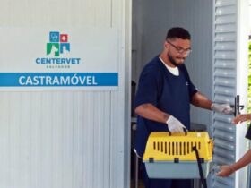 Castramóvel oferece castração gratuita de cães e gatos em Ondina