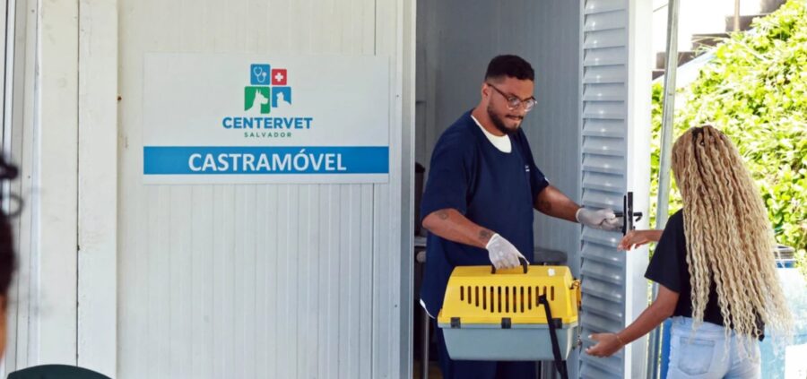 Castramóvel oferece castração gratuita de cães e gatos em Ondina