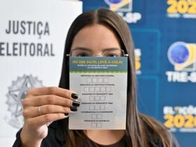 Colinha para eleições 2026: veja onde baixar e qual a ordem de votação