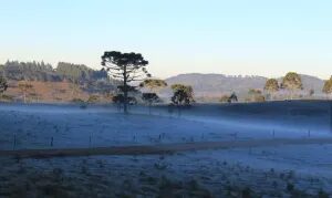 Frio derruba temperaturas em várias regiões