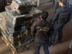 PF destrói 10 toneladas de drogas no Paraná