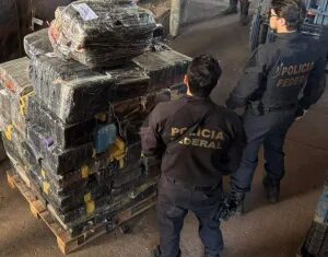 PF destrói 10 toneladas de drogas no Paraná