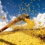 Produção agrícola brasileira superou R$ 927 bilhões em 2025