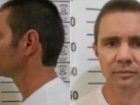 Sem citar Moraes, PF questiona quem é ‘Andrei’ e ‘Paulo’ em mensagem enviada por Vorcaro ao ministro
