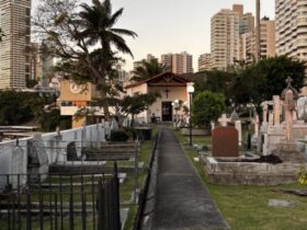 Três cemitérios antigos e poucos conhecidos ajudam a contra a trajetória da imigração em Salvador