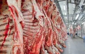 União Europeia deve voltar a comprar carne do Brasil em 2027