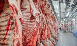 União Europeia deve voltar a comprar carne do Brasil em 2027