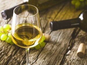 VAMOS DE VINHO