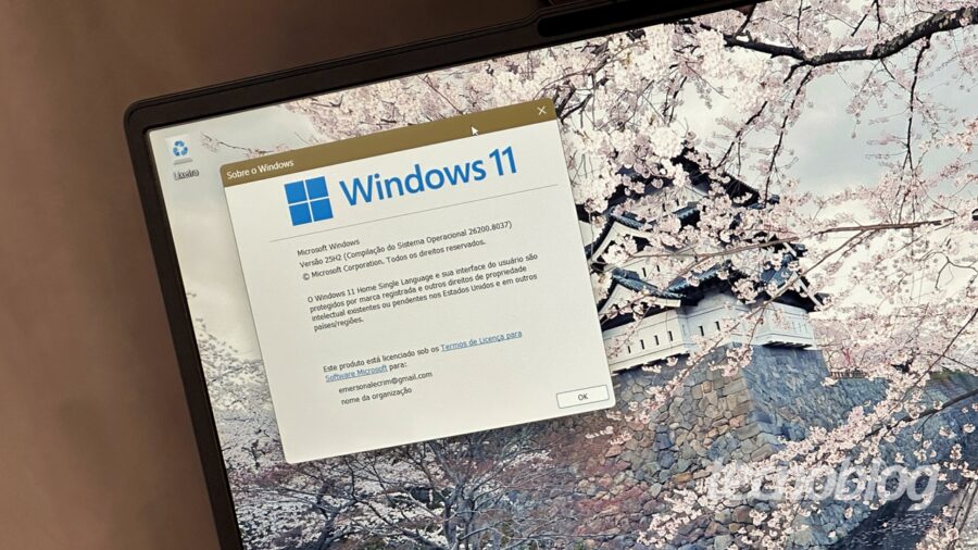 Windows 11: novas atualizações causam falhas em notebooks Lenovo e HP