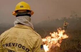 Amazonas recebe aviões da FAB para combater queimadas
