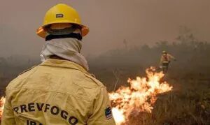 Amazonas recebe aviões da FAB para combater queimadas