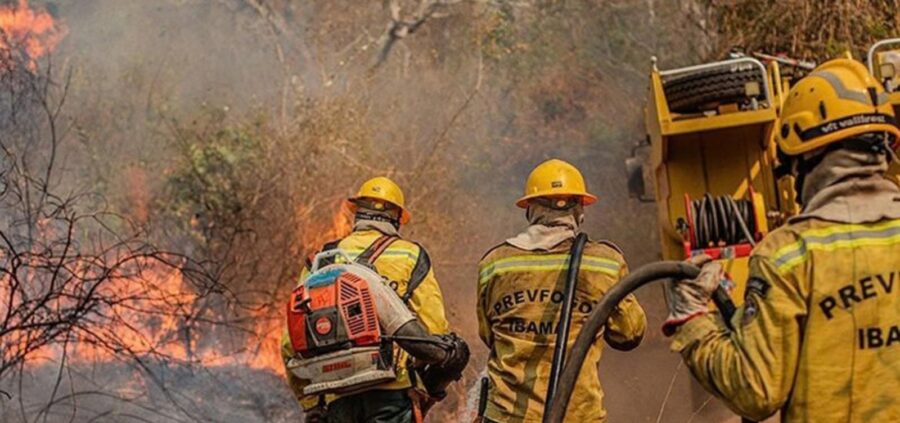 Amazonas registra alta de 271% nos focos de incêndio e recebe reforço federal