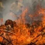 Amazonas tem 540 focos de incêndio em 48 horas e aciona força-tarefa