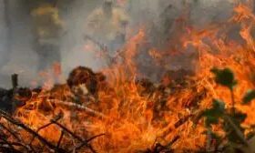 Amazonas tem 540 focos de incêndio em 48 horas e aciona força-tarefa