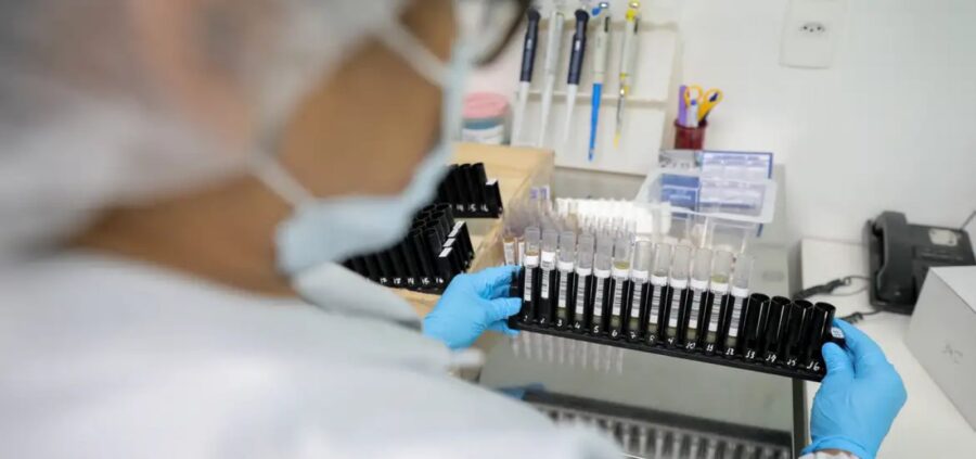 Anvisa autoriza testes em humanos da primeira vacina contra malária