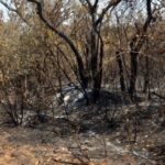 Bahia enviará alertas pelo WhatsApp sobre riscos do El Niño nos 417 municípios