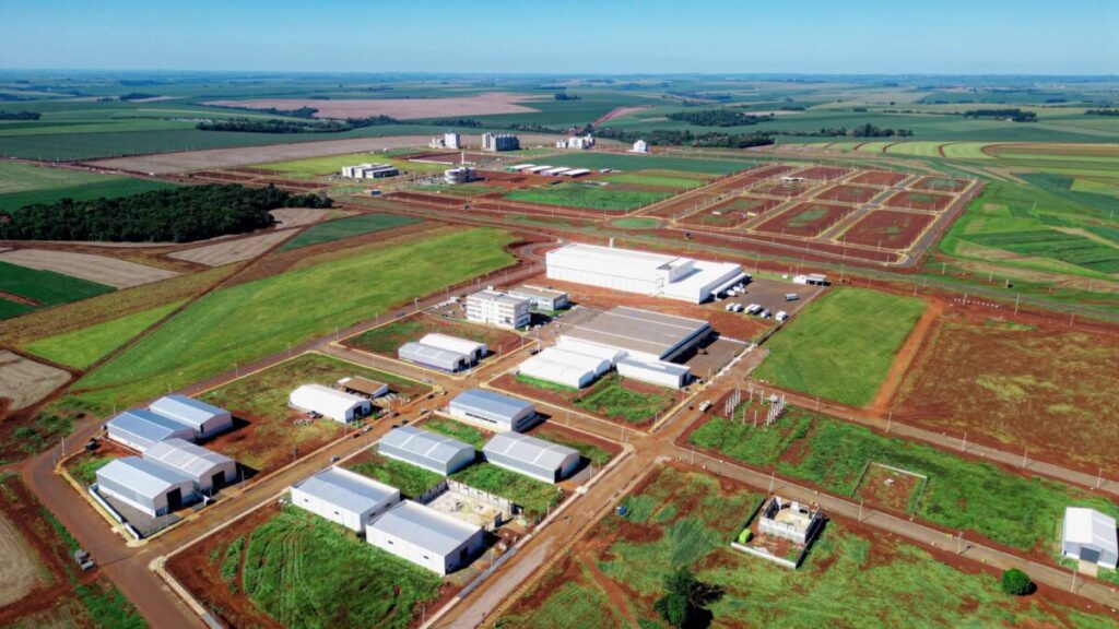 Biopark investe em educação para transformar economia no Paraná Biopark aposta em 100 mil bolsas para impulsionar economia no interior do PR
