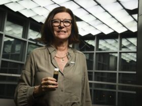 Blocos comprados pela Petrobras na Bacia de Campos devem render novo polo, diz presidente