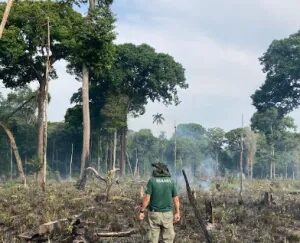 Consumo de recursos naturais está em ritmo acelerado e não é culpa do agro