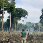 Dívida ecológica aumenta pressão sobre logística do agro